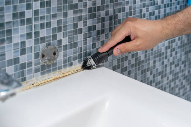 Best Mold Remediation  in West Grove, PA
